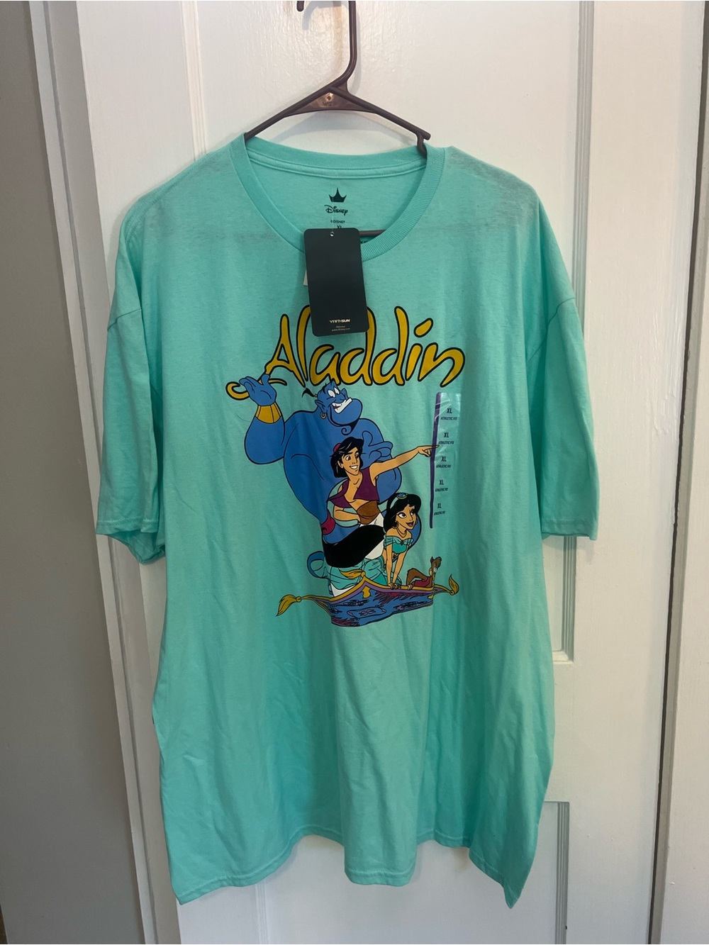 Disney Aladdin Graphic Tee in Mint